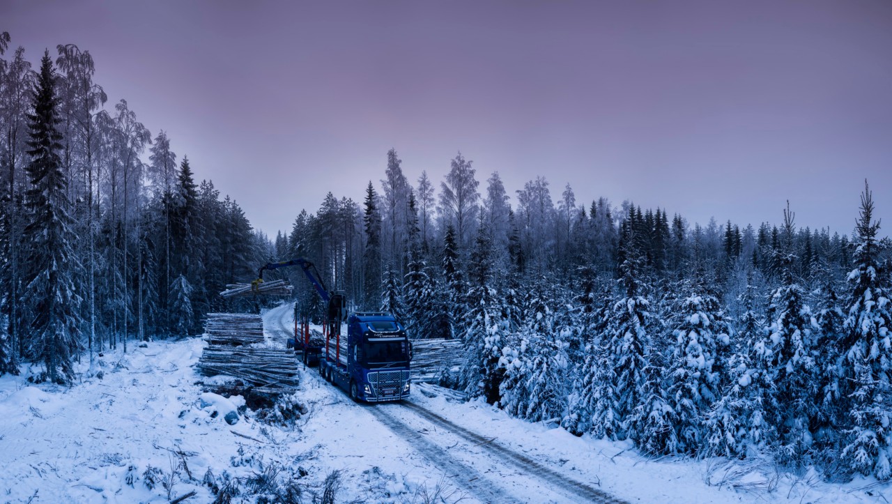 Товарене на дървен материал във финландска гора.
